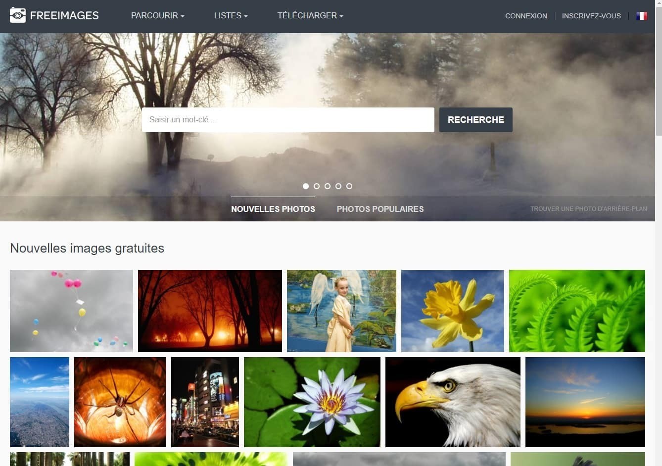 Outil en ligne : moteur de recherche de photos gratuites